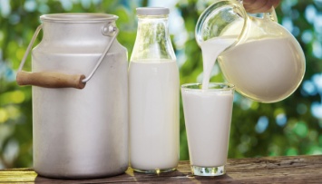 Цены на молоко: эксперты разработали 4 возможные сценарии во время пандемии