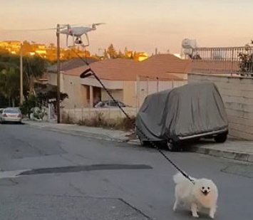 Мужчина выгулял собаку дистанционно с помощью беспилотника
