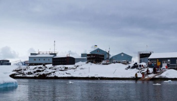 Украинских полярников в Антарктиде "проинспектировал" тюлень