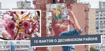 Монетный дом и сакуры. 10 удивительных фактов о Деснянском районе