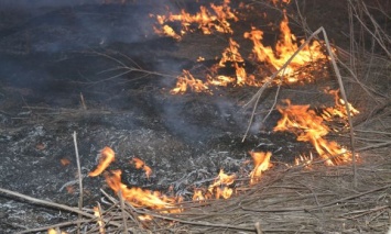 За минувшие сутки в Киеве 11 раз тушили пожары в экосистемах, - пресс-секретарь ГосЧС
