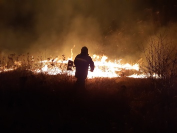 Горит сухая трава и камыш: под Харьковом спасатели тушат масштабный пожар в экосистеме