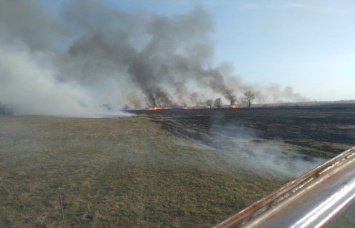 В области спасатели тушили пожары в экосистемах
