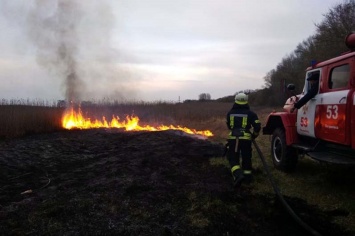 На Днепропетровщине участились случаи возгорания сухой травы и мусора
