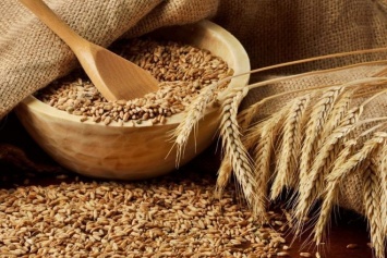 Участники рынка договорились ограничить экспорт пшеницы