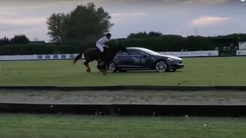 Tesla сразилась в гонке на скорость с конем: видео