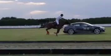 Видео: Tesla Model S устроила гонку с лошадью