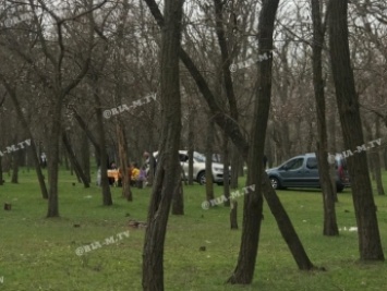 Будут ли штрафовать за прогулки по парку и лесопарку во время карантина в Мелитополе (видео)
