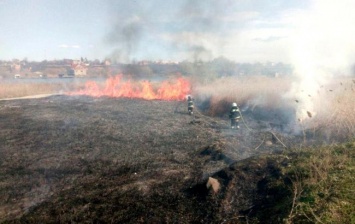 В Одесской области горит национальный природный парк