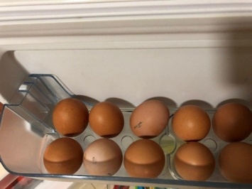 Удивительные полезные свойства яиц