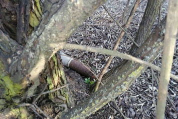 В поселке под Кривым Рогом обнаружено два устаревших боевых снаряда