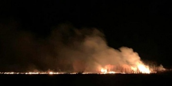 Площадь лесных пожаров в Сибири превысила 100 тыс. гектаров