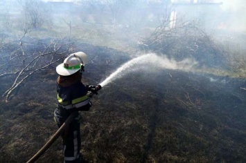 На Днепропетровщине за сутки сгорели десятки гектаров в экосиситемах