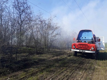 В Николаевской области за сутки семь раз загорался сухостой, - ФОТО