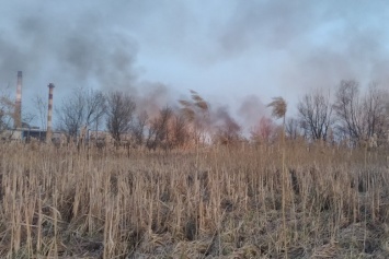 Харьковчане продолжают поджигать сухую траву и вызывать пожары в экосистеме: ГСЧС, - ФОТО