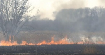 Киев затянуло дымом: на Виноградаре вспыхнул масштабный пожар (ВИДЕО)