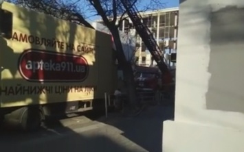 В центре Херсона большое дерево упало на припаркованный грузовик - видео