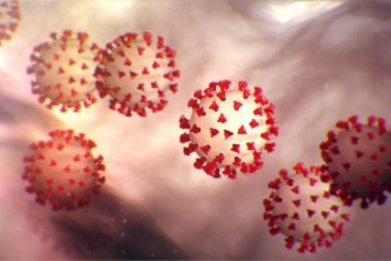 Ученые предположили, что коронавирус может передаваться через дыхание