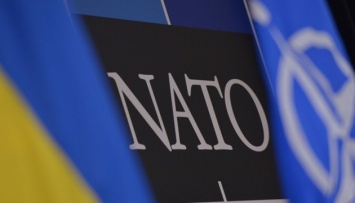 В НАТО сообщили подробности новых инициатив в отношении Украины и Грузии