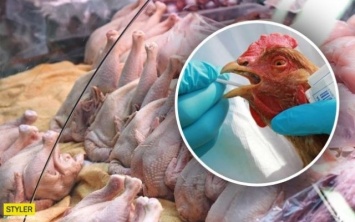 В Голопристанском районе подтвердились случаи птичьего гриппа типа А