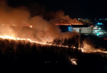 Под Киевом из-за выжигания травы - масштабный пожар