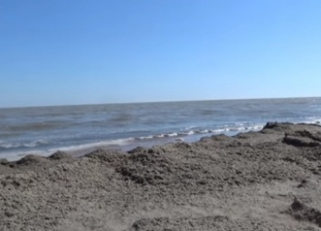 Молочный лиман выбрасывает на берег водоросли (видео)