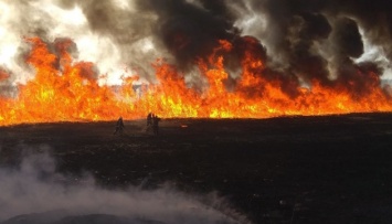 В Киеве за 12 дней зафиксировали 144 пожара в экосистемах