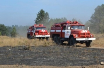 В Украине уничтожено огнем за сутки 20 гектаров экосистемы