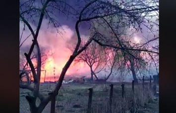 Житомир накрыли сильные пожары: видео очевидцев