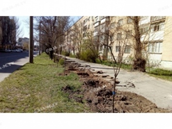 В Мелитополе к больнице будущего прокладывают тротуар (фото)