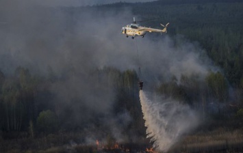 Масштабные пожары в Чернобыле: пожарники столкнулись с трудностями радиации, фото, видео