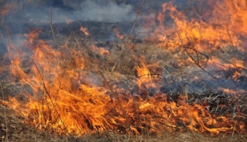 В Кривом Роге в результате пожара в эко-системе сгорела часть имущества горожан
