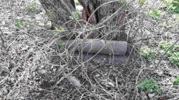На Днепропетровщине в 5 районах пиротехники обезвредили устаревшие боеприпасы