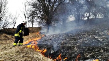 За сутки в Украине произошло почти 700 пожаров на открытых территориях, - ГСЧС