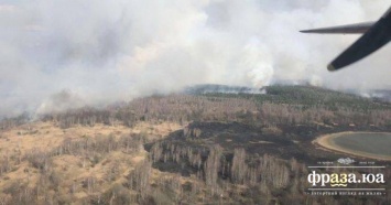 В Житомирской области несколько дней горит лес