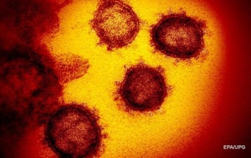 Виагра Спасет "Виагра": в лечении коронавируса наметился прорыв