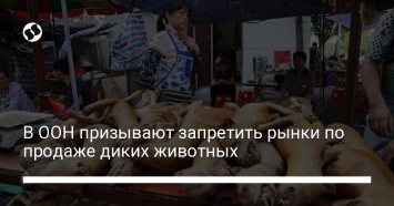 В ООН призывают запретить рынки по продаже диких животных