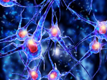 Как восстановить нервные клетки
