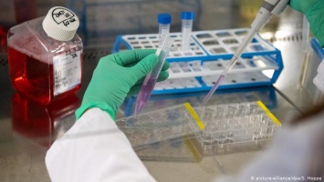 Тест на антитела: как в Германии ищут коллективный иммунитет