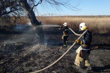 На Днепропетровщине за сутки выгорело 30 гектаров мусора и сухой травы