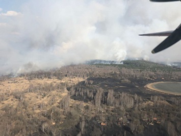 Варварство с привкусом пепла. Выжженный лес в зоне ЧАЭС показали с дрона