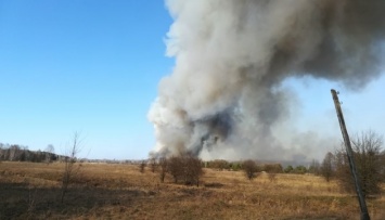 На Житомирщине локализовали лесные пожары площадью более 200 гектаров