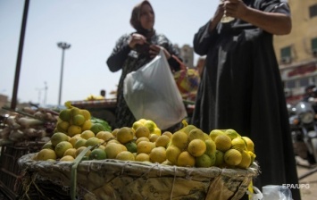 Турция ввела запрет на экспорт лимонов из-за COVID