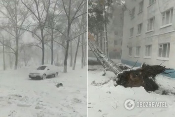Сорванные крыши и поваленные деревья: Казахстан в апреле накрыла мощная снежная буря. Фото и видео