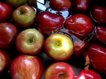 Компонент из кожуры яблока может обращать последствия рассеянного склероза вспять