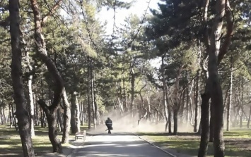 Окно из-за пыли не откроешь: днепряне требуют запретить использовать пылесос в парке Писаржевского