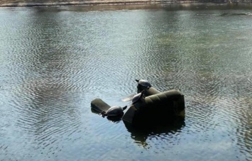 Фото дня. В озере на Виноградаре черепахи плавают в кресле