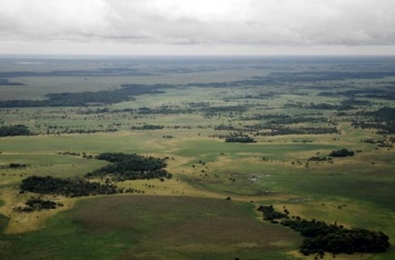 В Амазонии обнаружены следы развитой "протоцивилизации"