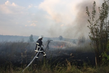 В Запорожской области пожары уничтожили почти 200 гектаров экосистем - спасатели записали видеообращение к жителям