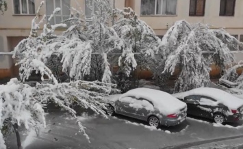 Это был ад на земле: полный паралич, снежный ураган, деревья вырывало с корнем. Видео